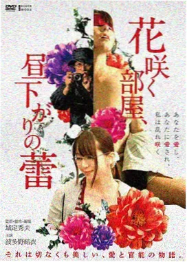 玻璃迷宫 犯罪悬疑电影在线观看
